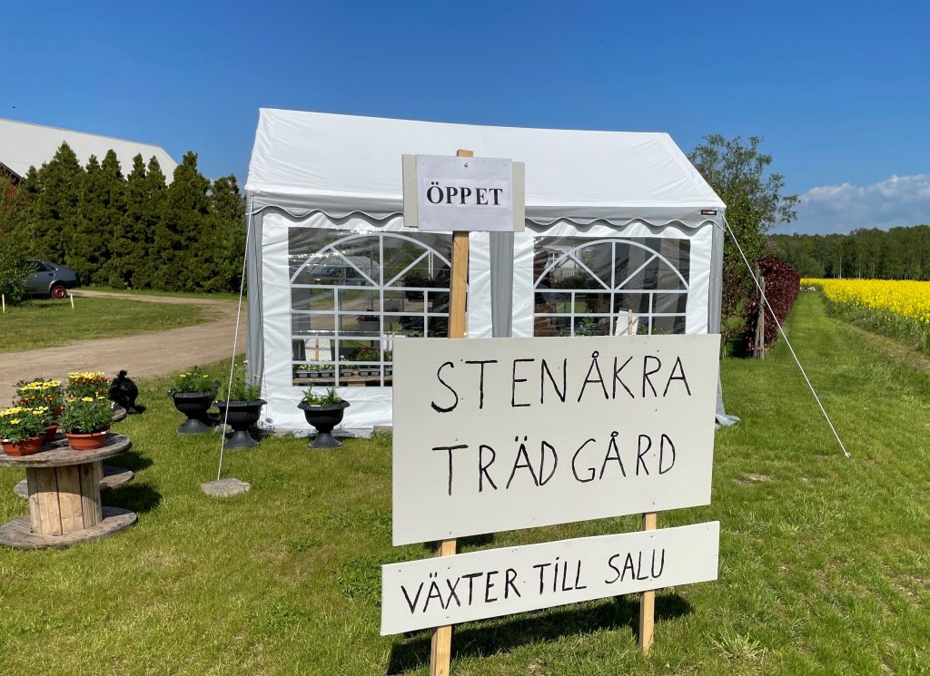 Stenåkra