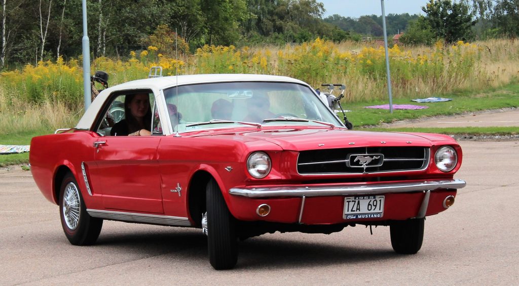 Cruising