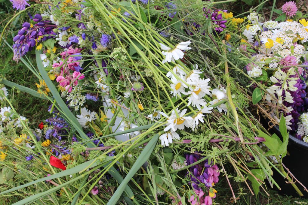 Blommor