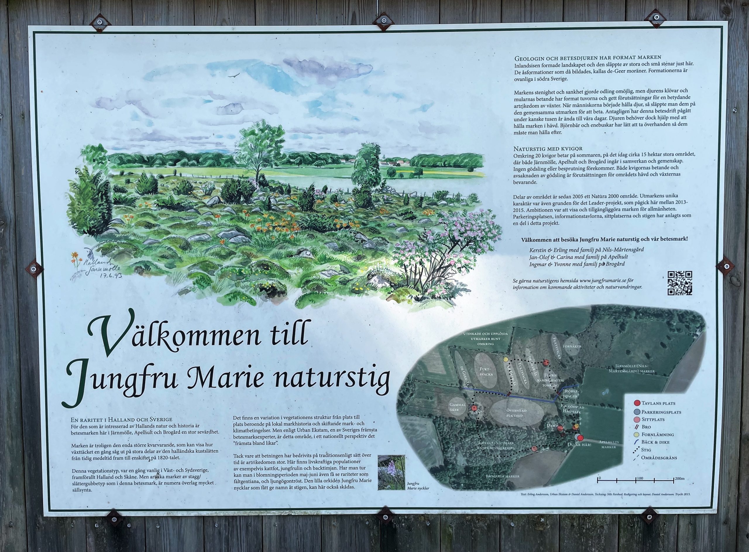 Jungfru Marie naturstig