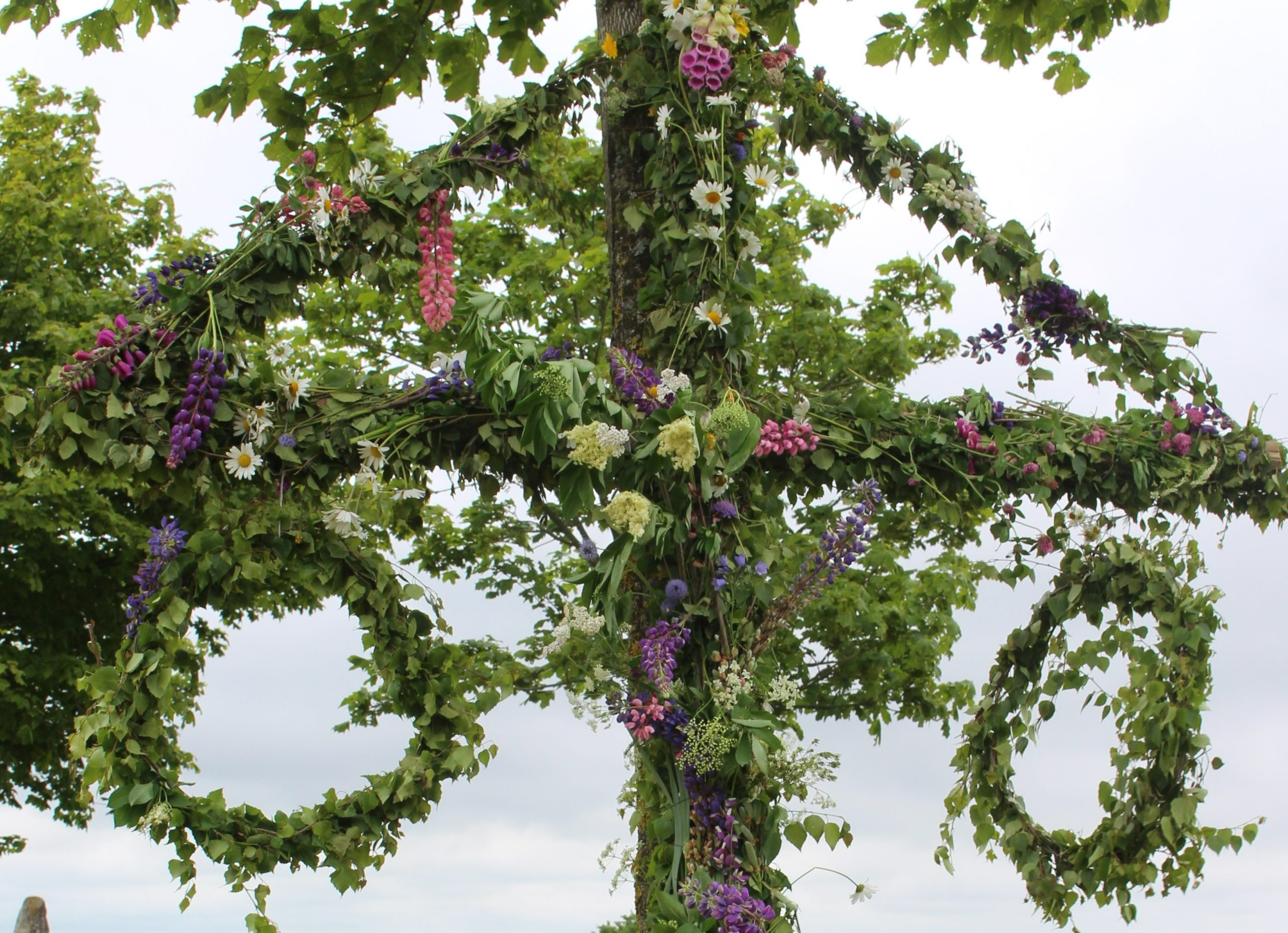 Midsommarfirande P G rden n FUB HALMSTAD