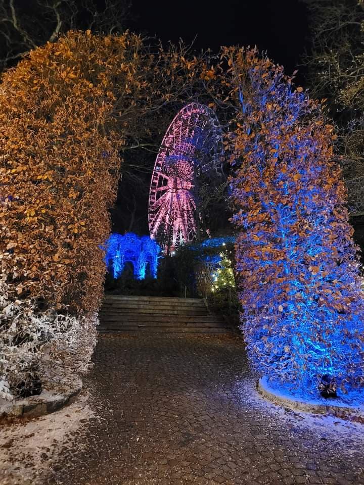 Liseberg3