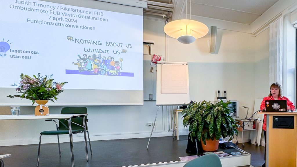 Judith Timoney talat om Funktionsrätts-konventionen