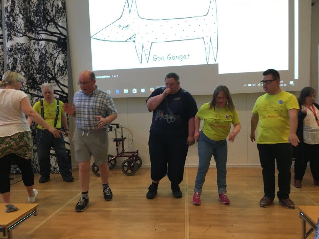 Goa Gänget från Lysekil dansar med deltagarna på Forum FUB 2017