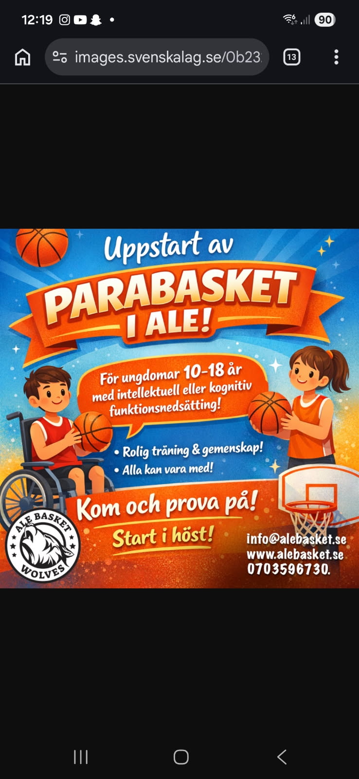 Parabasket
