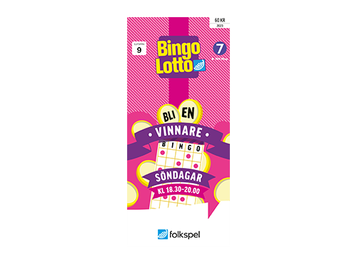 bingolotto-forening-500x370