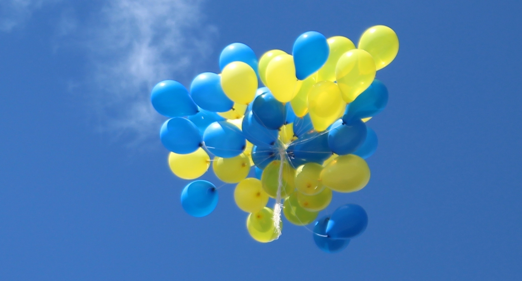 Gula o blå ballonger mot himmelen