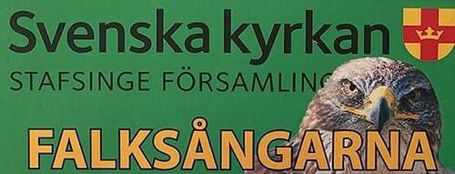 Falksångarna