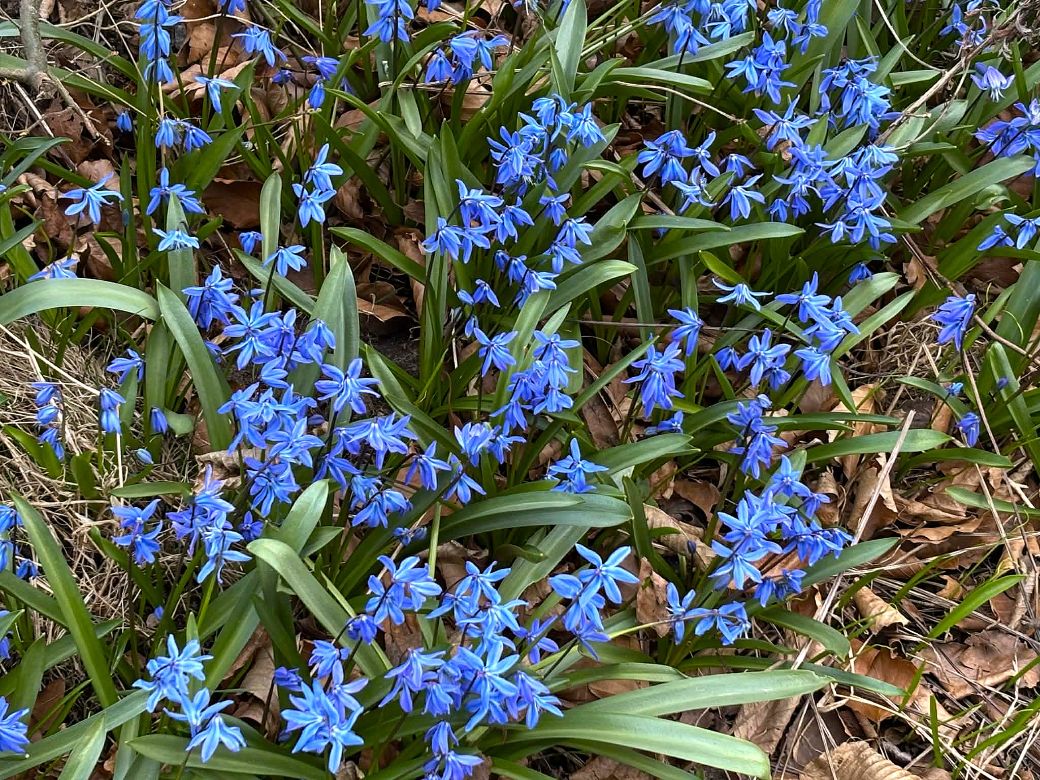 Stadsvandring Valencia