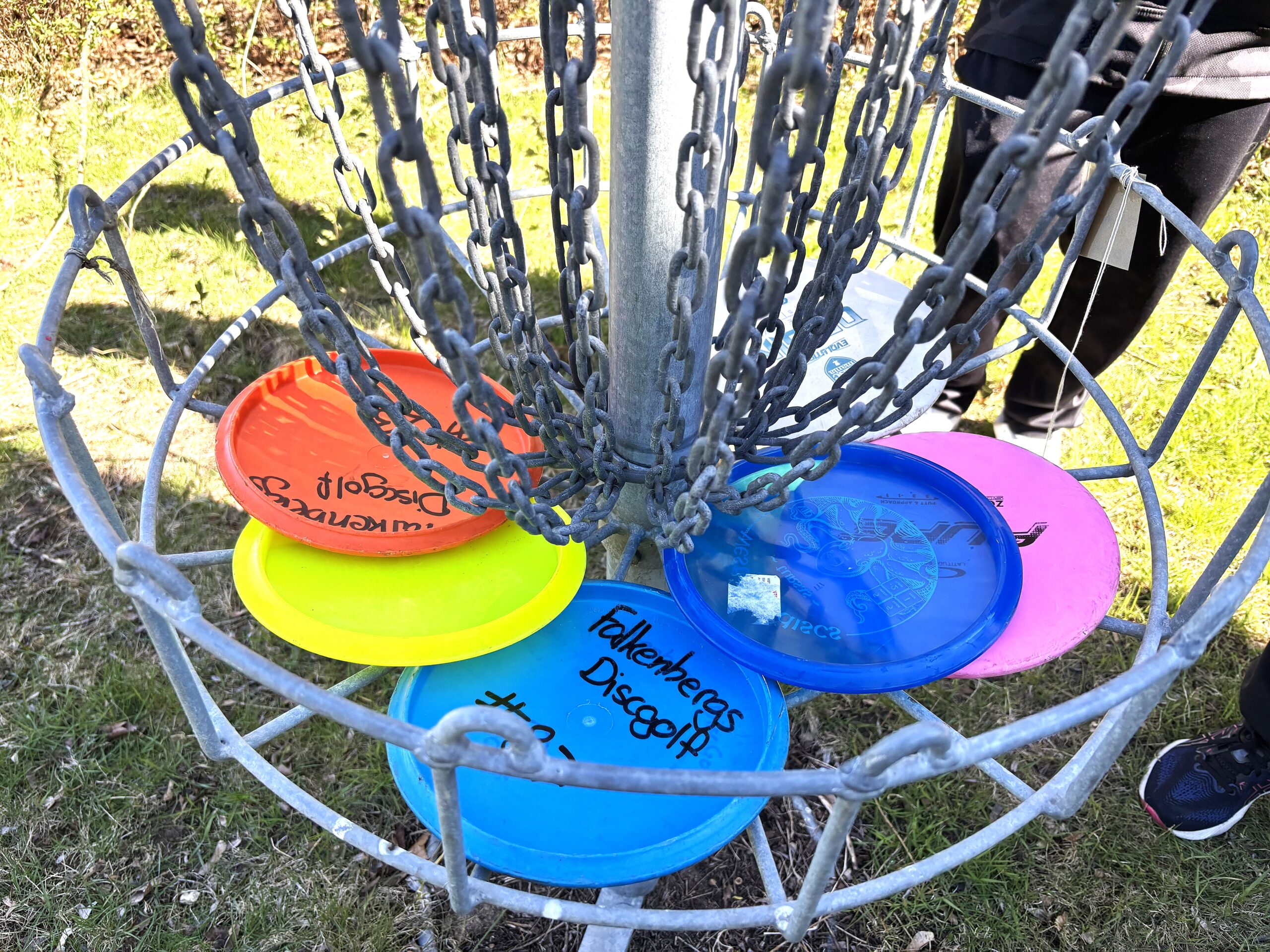 Discgolf