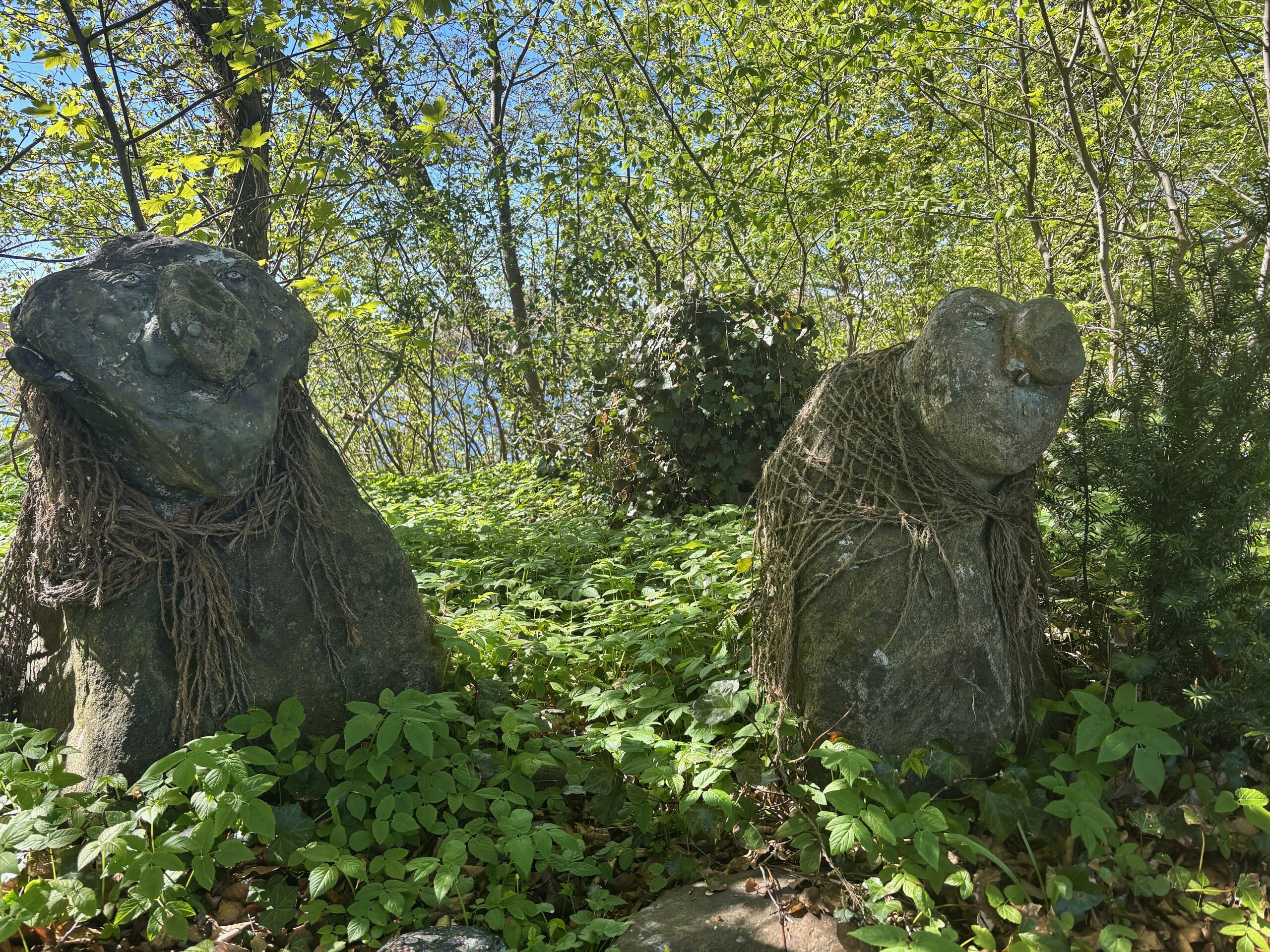 Stadsvandring Trollskogen