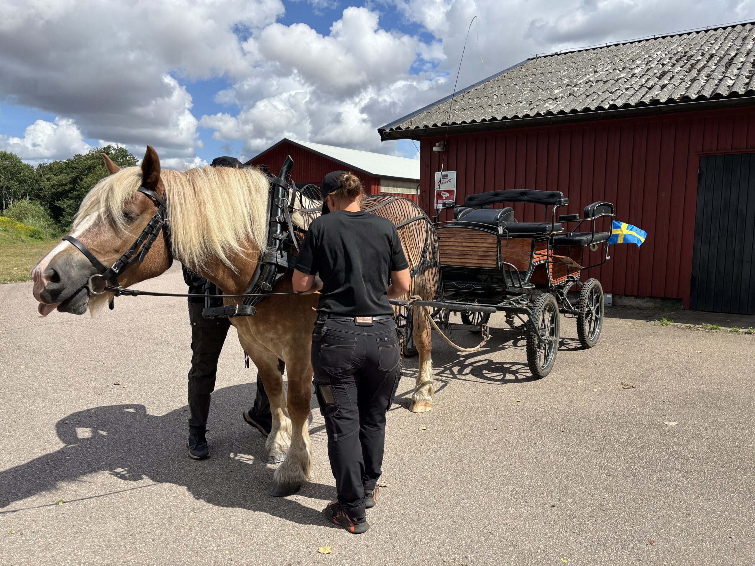 Häst o vagn