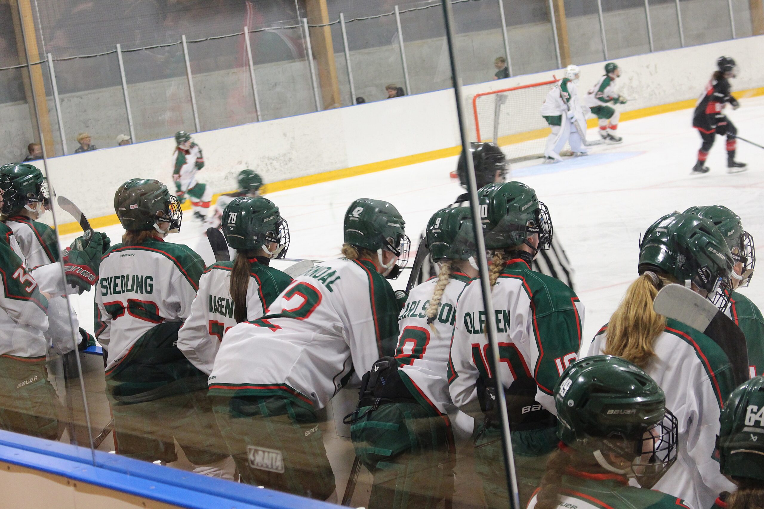 Ishockey