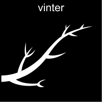 Pictogram