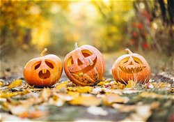 Halloween Halloween