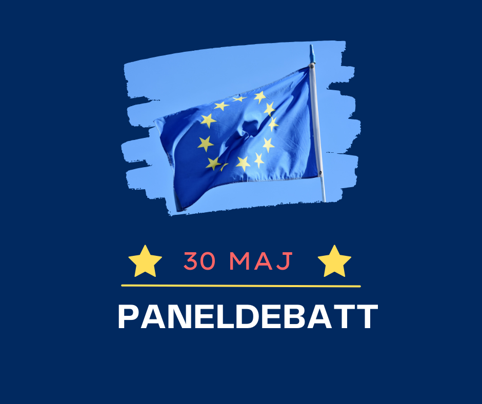 Valdebatt EU