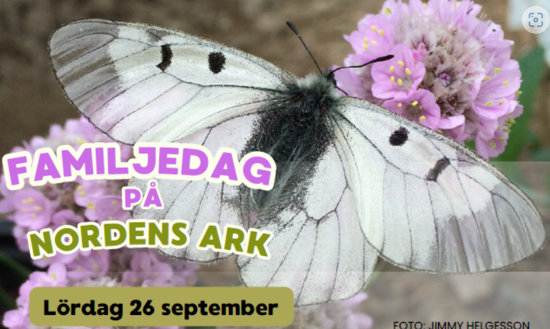 Skärmbild 2026-07-09 085803