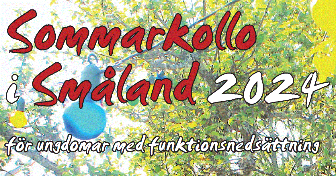 Sommarkollo 2024