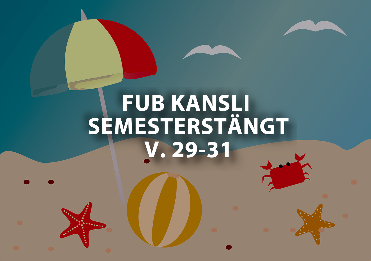 summerv2931