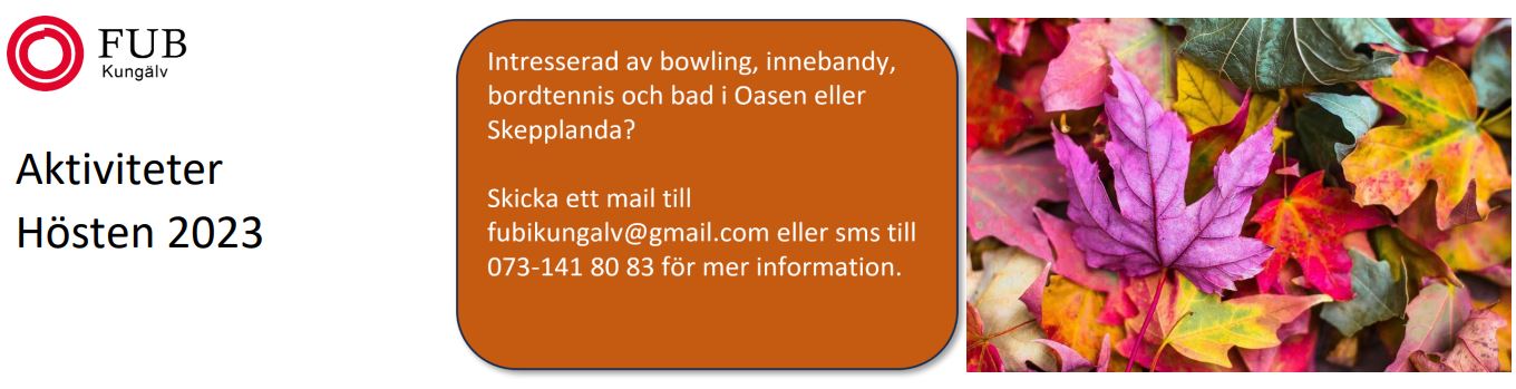 Aktiviteter hösten 2023 - bild