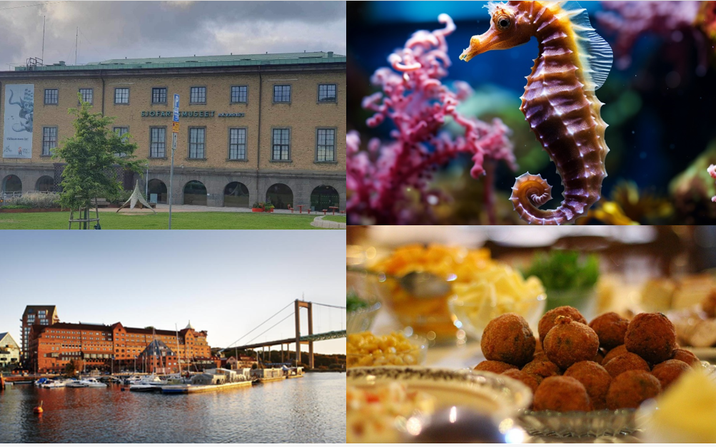 Skärmbild 2023-09-02