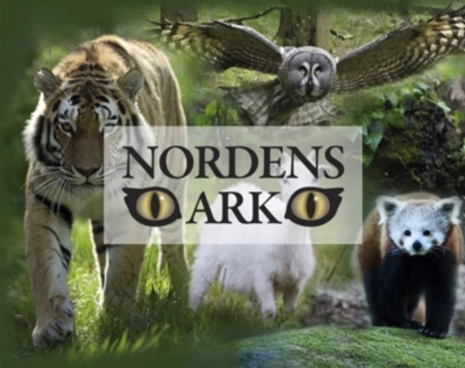 Bild Nordens Ark