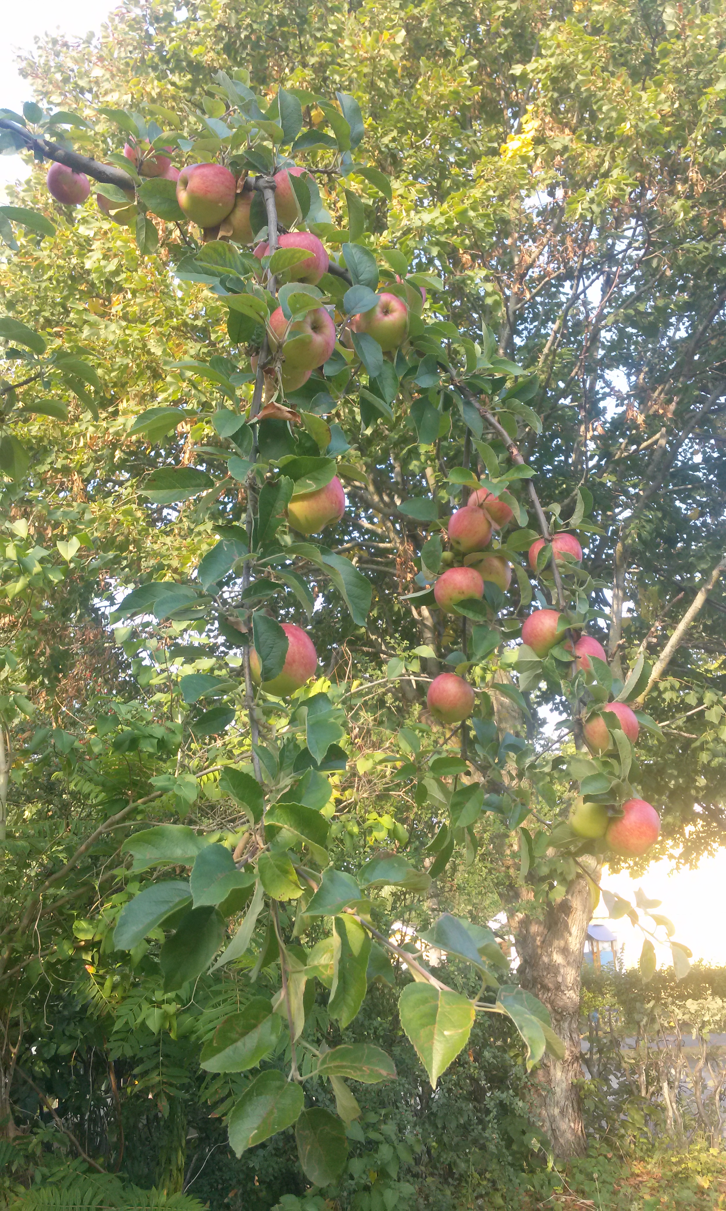20160914_095554