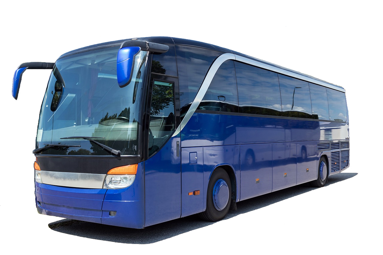 Buss