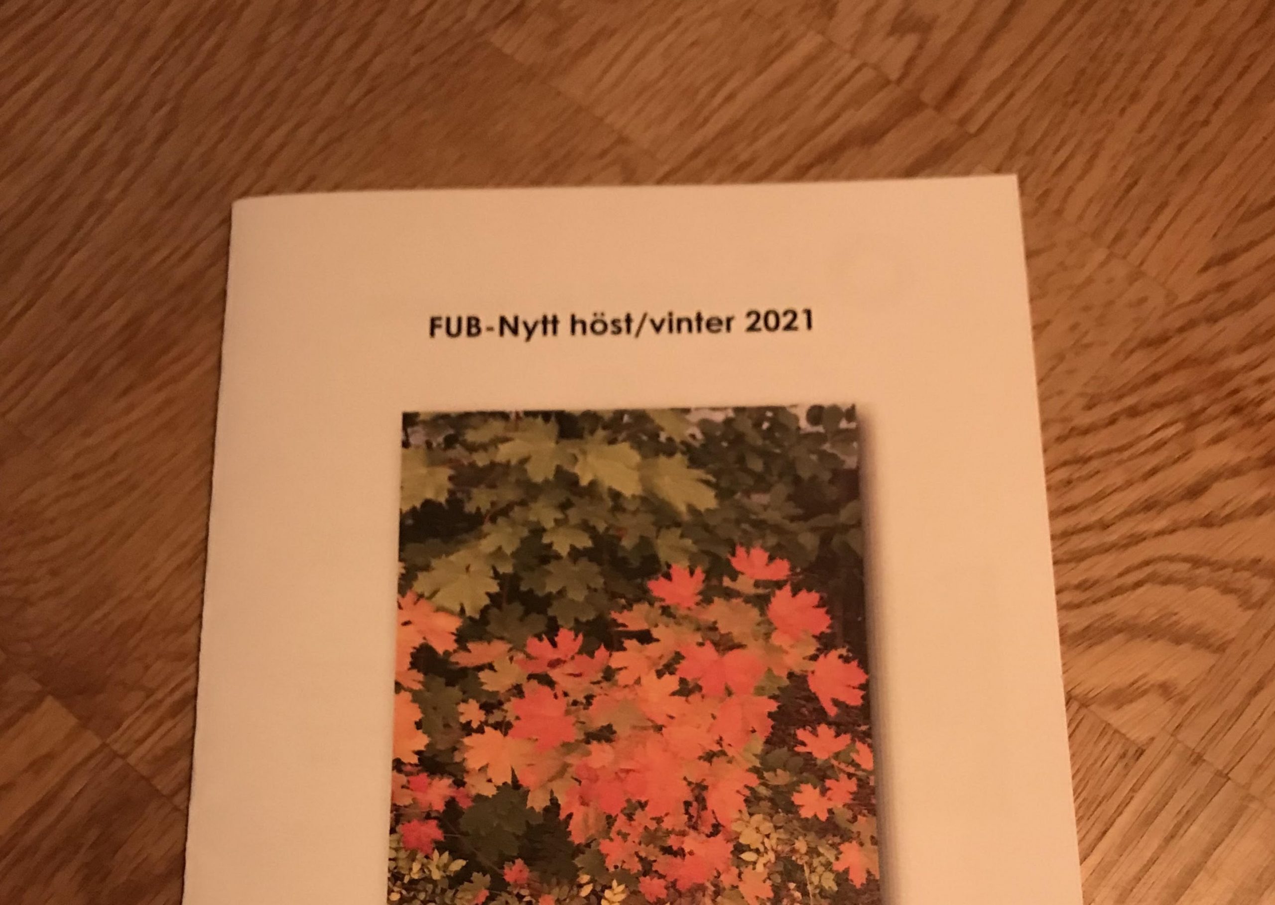 FUB-nytt_höst_vinter_2021_2