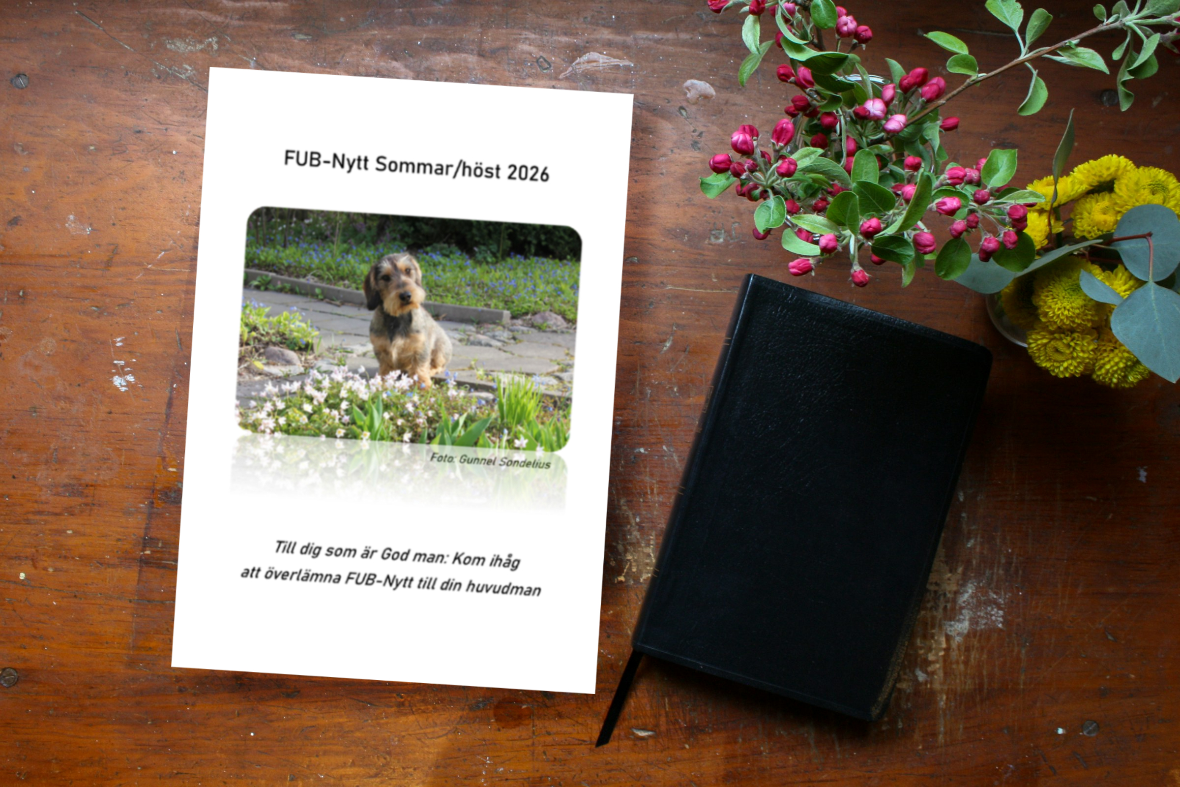 fub_nytt_splash3