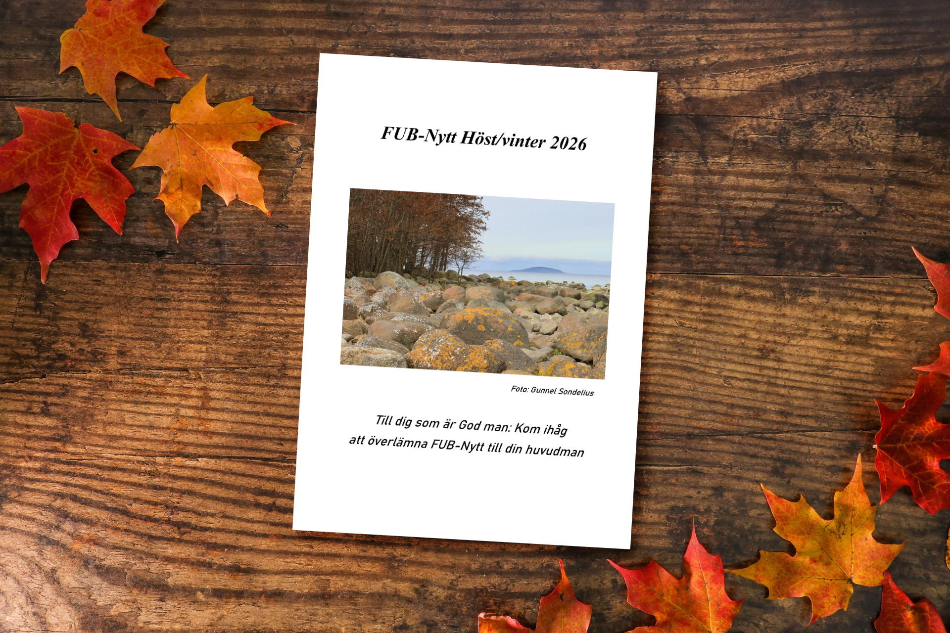 fub_nytt_host_26