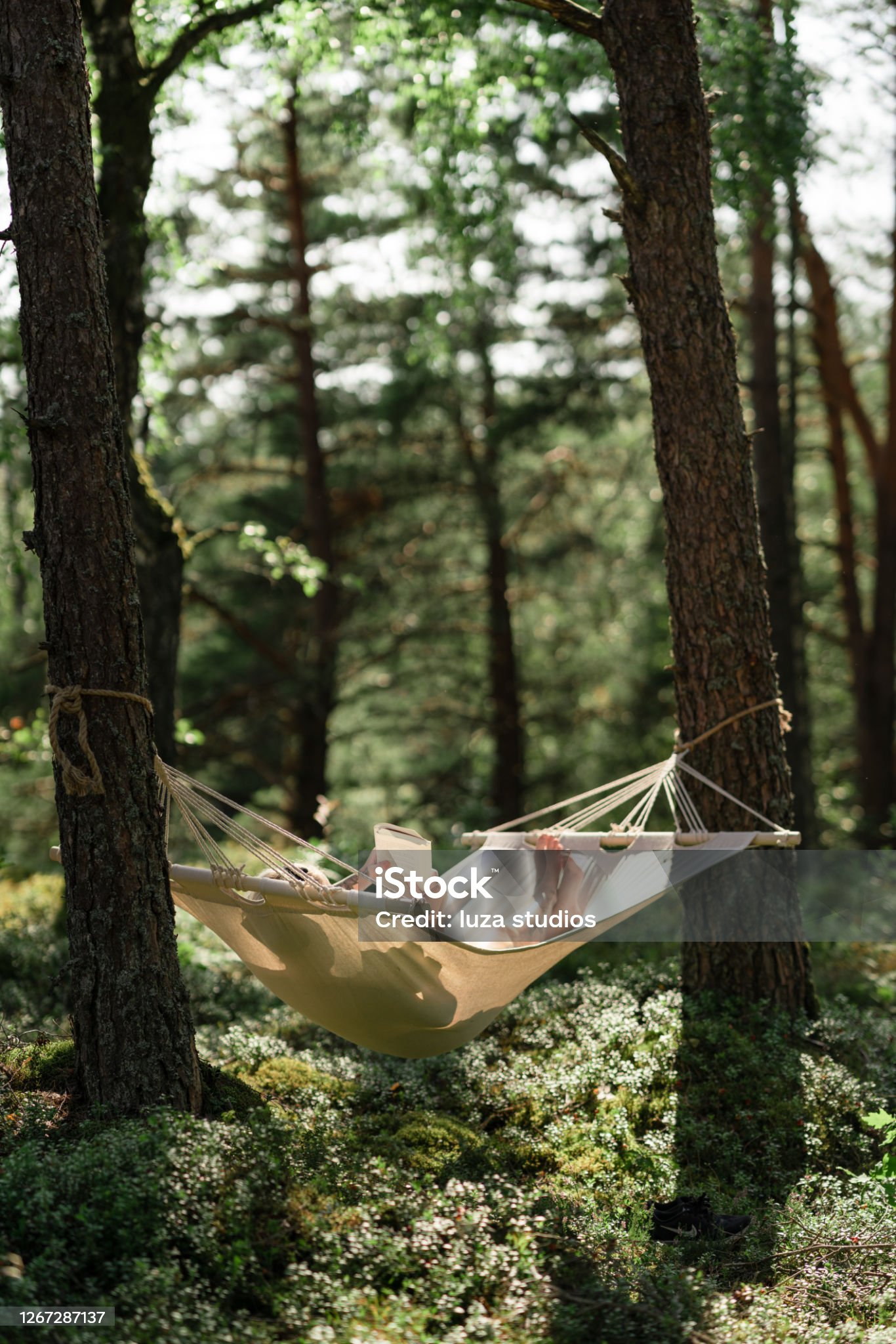 Sommarledigt i en hängmatta
