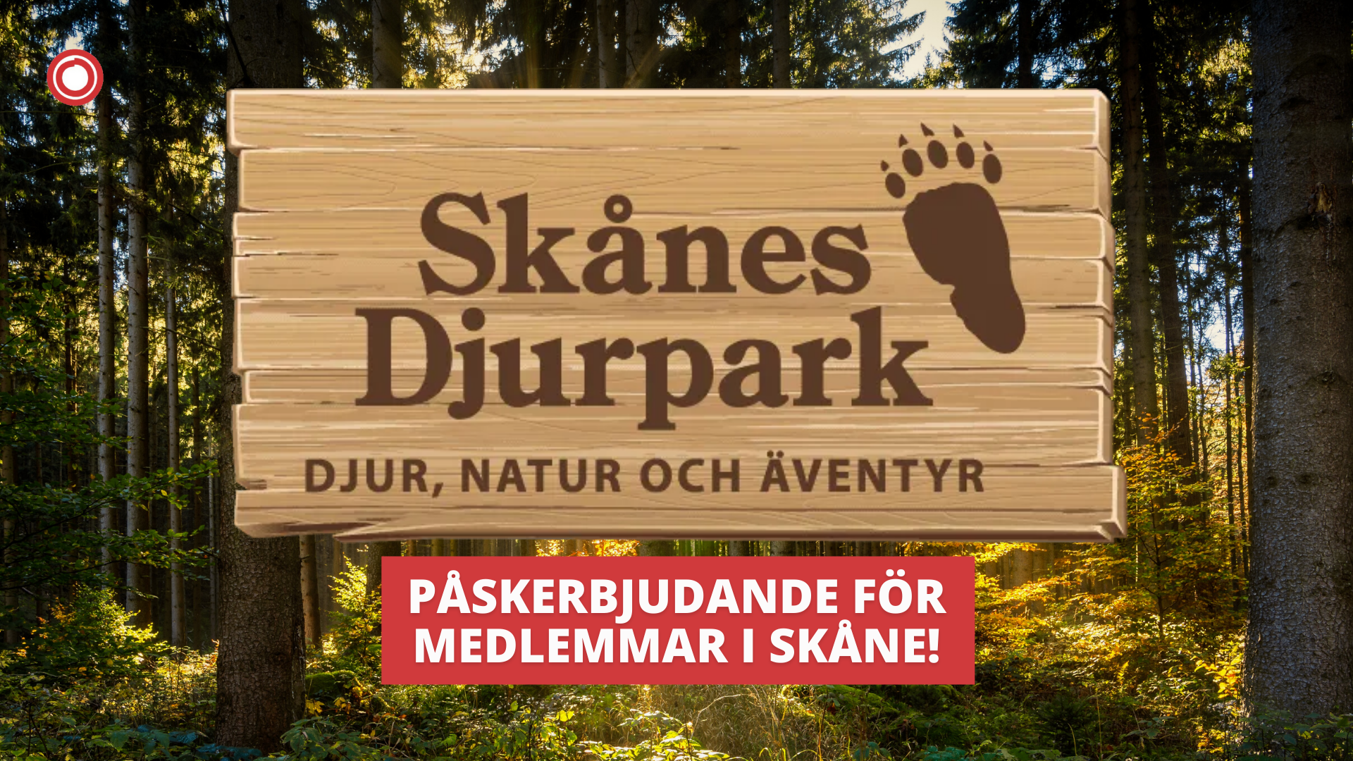 Skånesdjurpark (1)