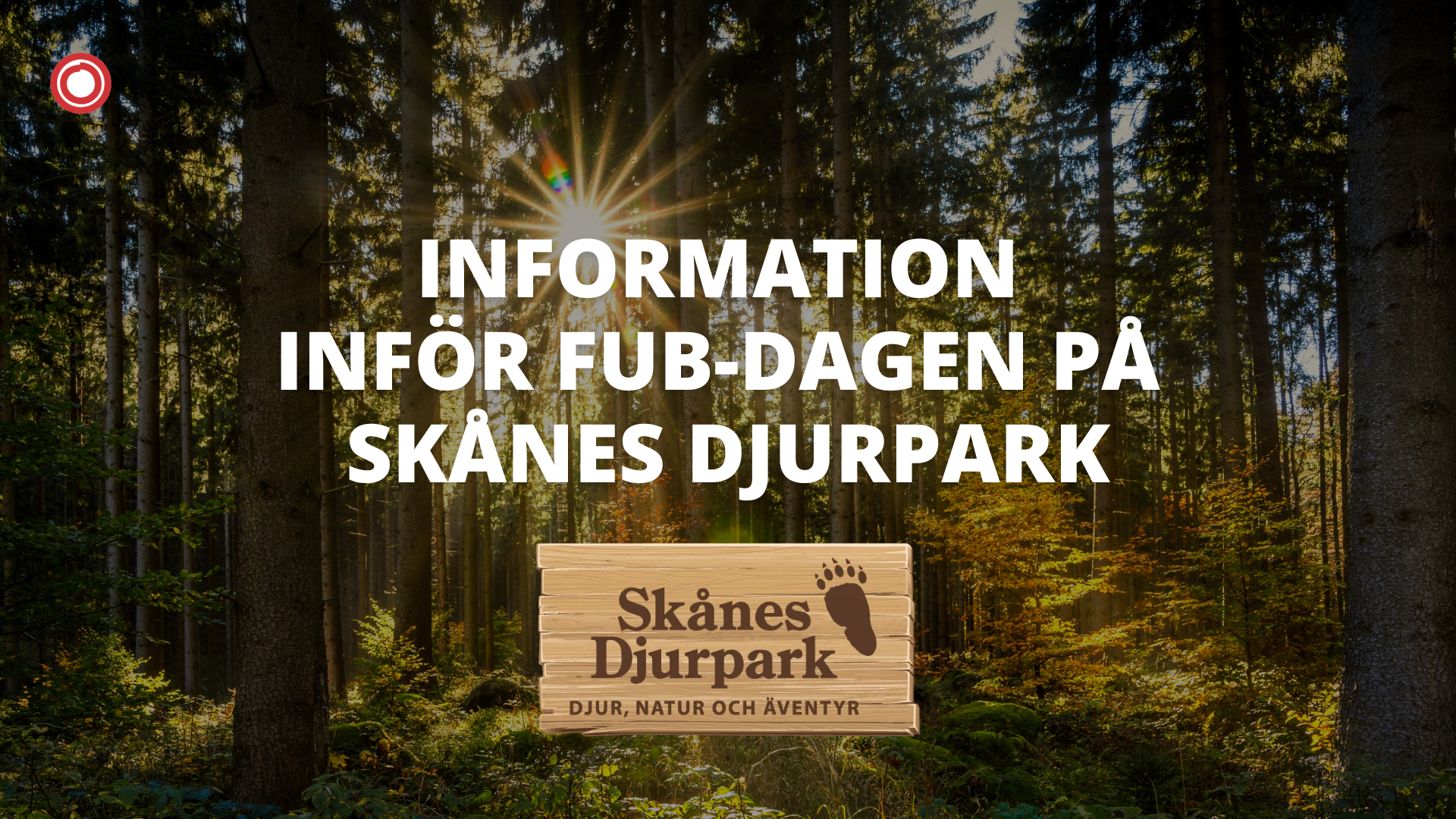 _Information inför FUB-dagen på Skånes Djurpark