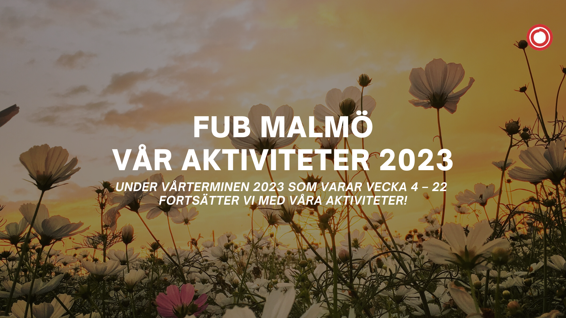 FUB VT Aktiviteter 2023