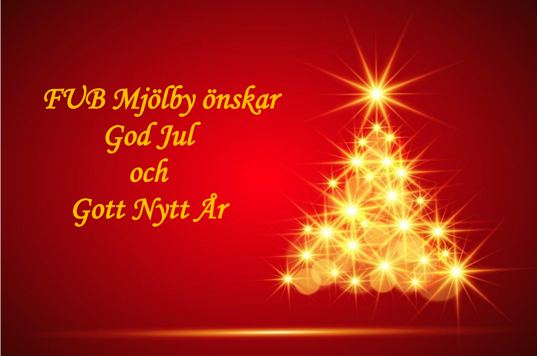 Skärmbild 2024-12-22 221319