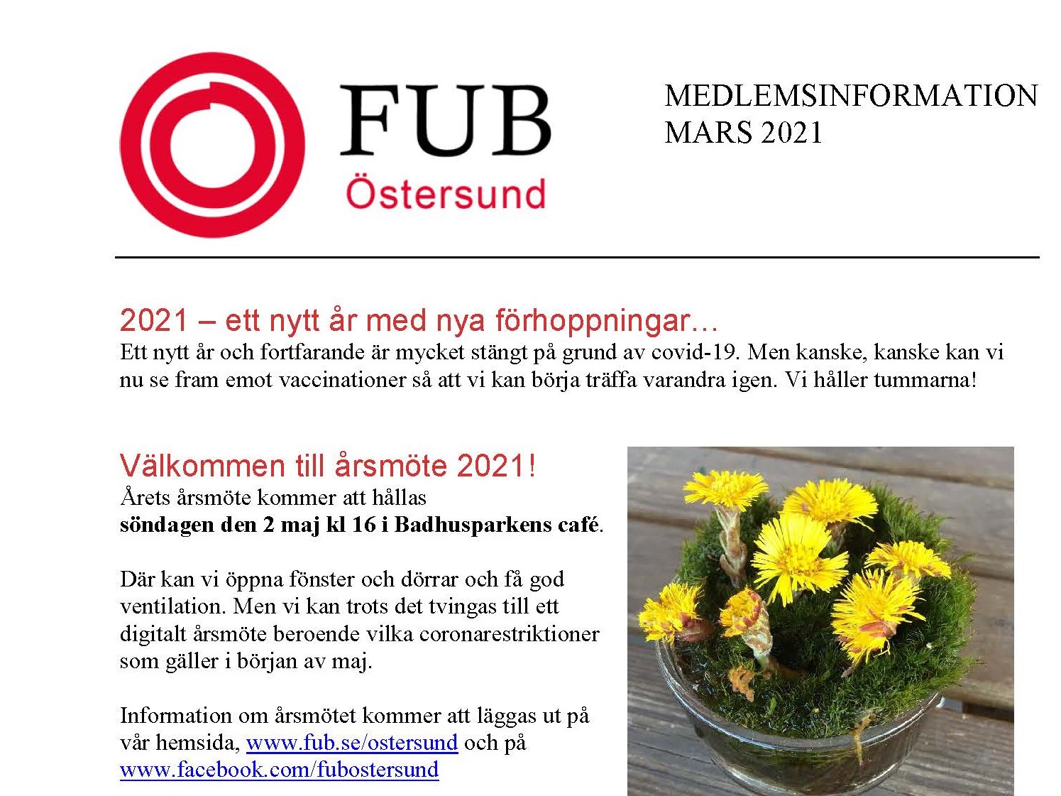Medlemsutskick mars 2021_webben