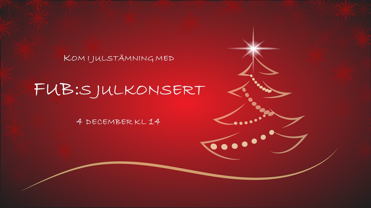 Bild1