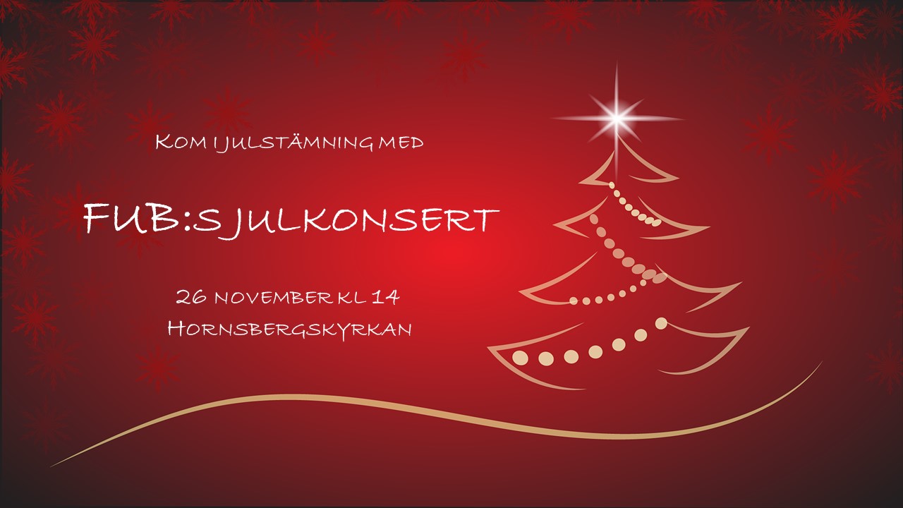 Bild1