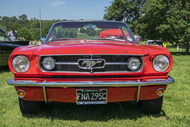 marcart-mustang-4302742_640