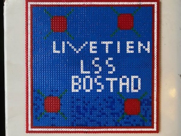 Livet i en LSS-bostad