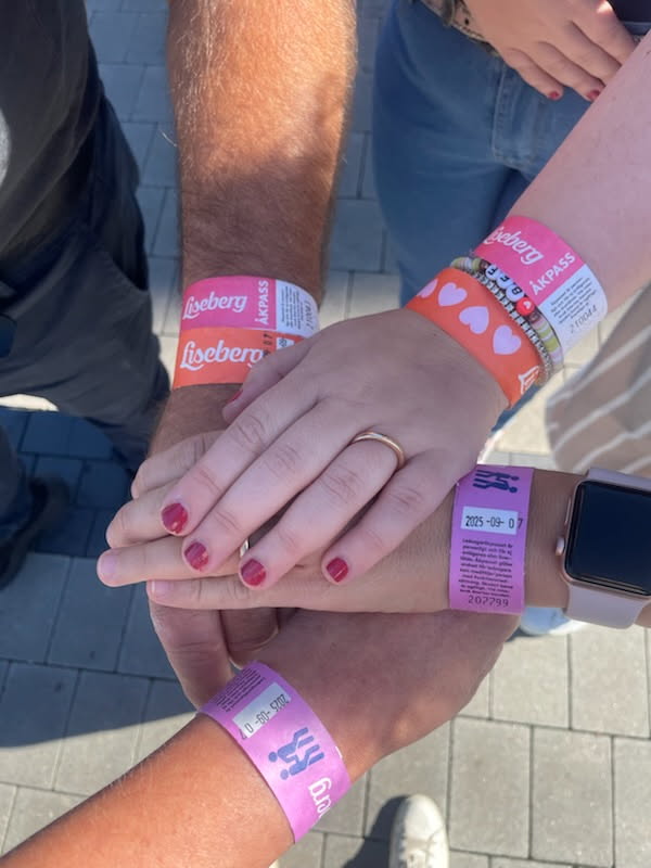 Liseberg 17