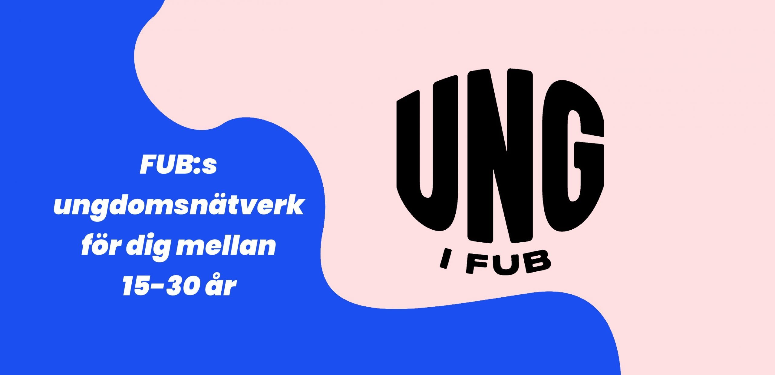 banner-till-FUB_s-hemsida-ung-i-fub-scaled-e1603102554216