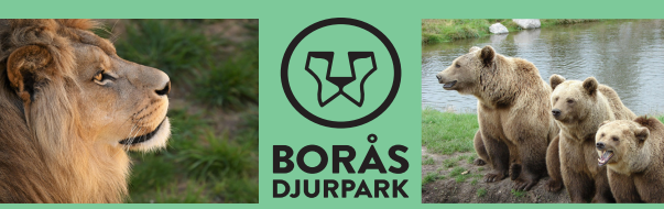 Bild dagsutflykt borås