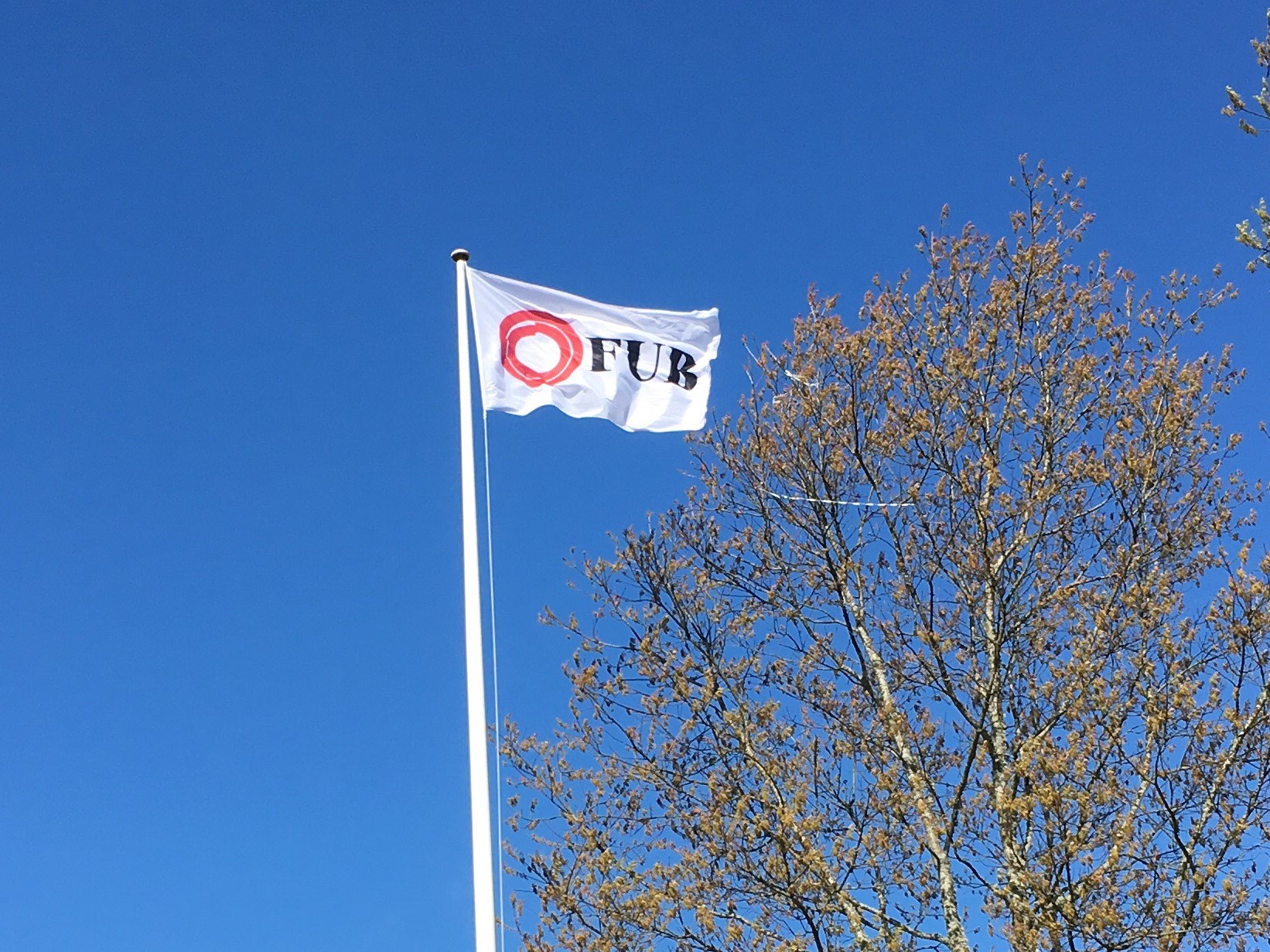 fub-flaggan (1) fub-flaggan (1)